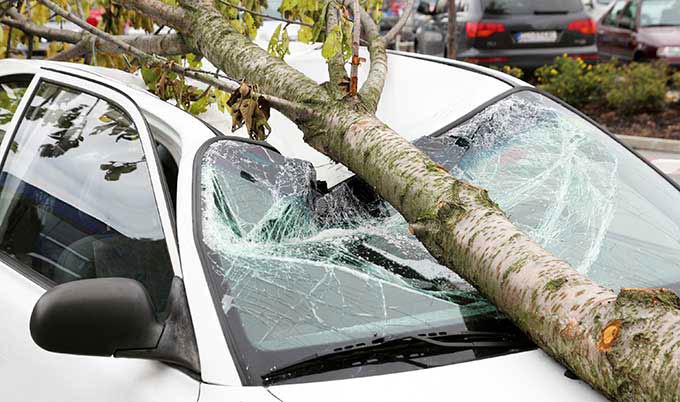 Car Insurance for Windshield Damage