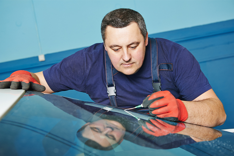 Mister Glass Windshield Repair Service Near Me Dallas Tx