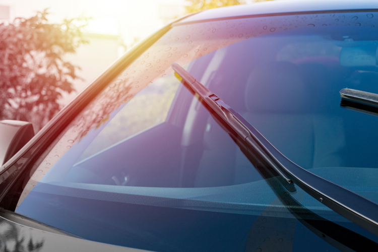 Car windscreen